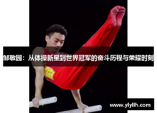 邹敬园：从体操新星到世界冠军的奋斗历程与荣耀时刻