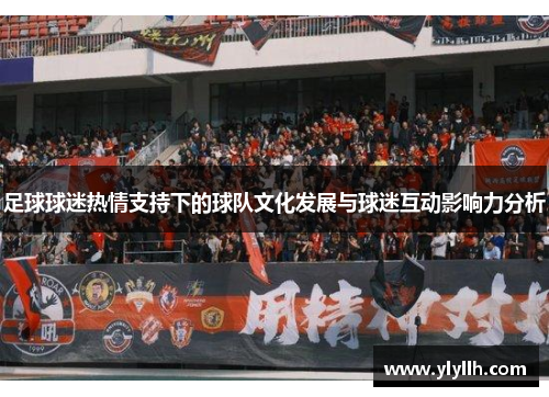 足球球迷热情支持下的球队文化发展与球迷互动影响力分析