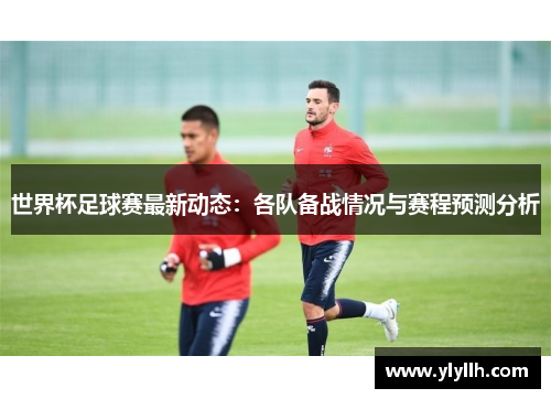 世界杯足球赛最新动态：各队备战情况与赛程预测分析