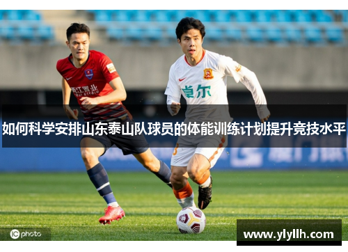 如何科学安排山东泰山队球员的体能训练计划提升竞技水平