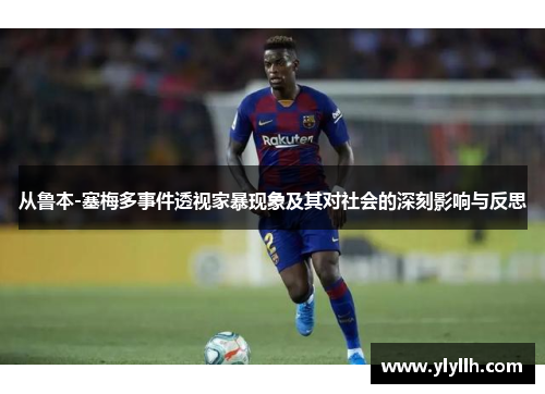 从鲁本-塞梅多事件透视家暴现象及其对社会的深刻影响与反思