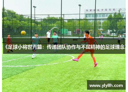 《足球小将世青篇：传递团队协作与不屈精神的足球理念》