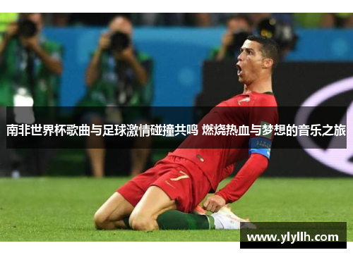 南非世界杯歌曲与足球激情碰撞共鸣 燃烧热血与梦想的音乐之旅
