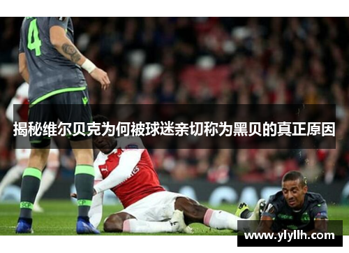 揭秘维尔贝克为何被球迷亲切称为黑贝的真正原因