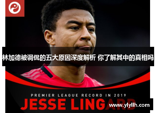 林加德被调侃的五大原因深度解析 你了解其中的真相吗